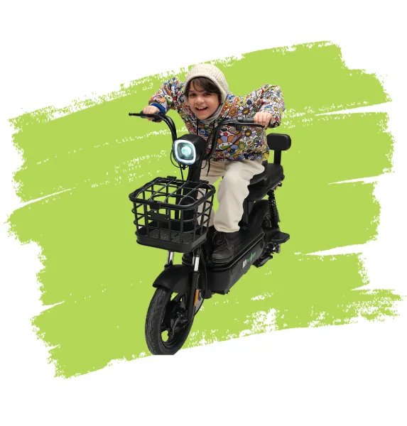 Evee Flipper — step-through / moped in Pakistan